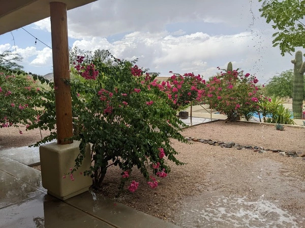 Rain in the Sonoran Desert