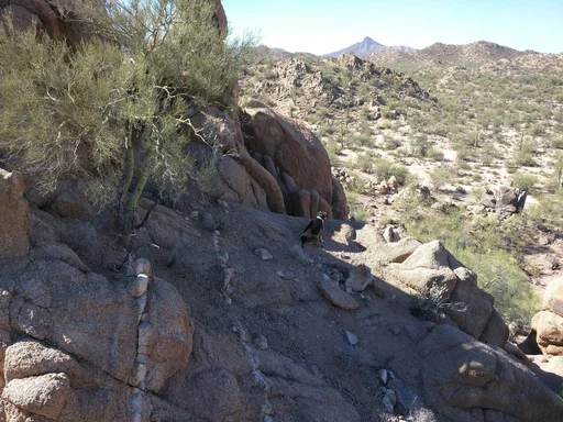 Sandler on the mountain